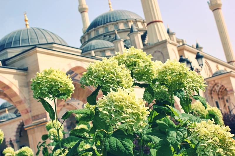 Мечеть. Город Грозный
Мечеть "Сердце Чечни"
Ключевые слова: мечеть,грозный