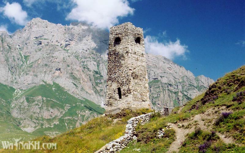 Старинная башня на возвышенности. Чечения
Старинная сторожевая башня
Ключевые слова: башня,сторожевая,чечения